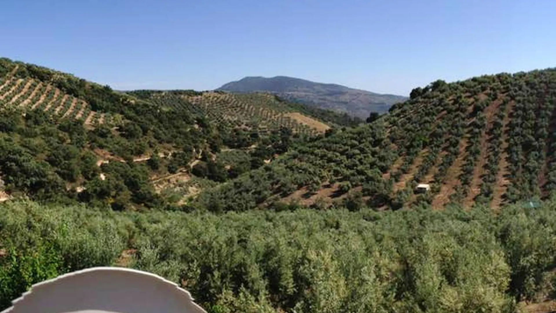Elegant Villa In Granada With Pool And Garden 0*,  西班牙